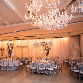  Woodbury  Jewish Center Long  Island  Wedding  Reception  